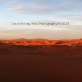 Sahara