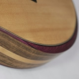 Acoustic Guitar Details Details3