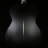 Sap Wood