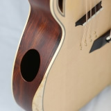 Vaultback Acoustic Guitar Port Combolin